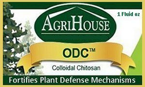 ODC Colloidal Chitosan - 1 oz (30 ml)